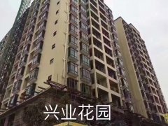 新安大桥旁|长安大型小区|临深最近，可分期，超低利息，总价低